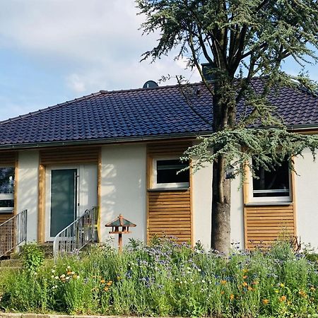 Ferienhaus Urwald Hofgeismar Extérieur photo