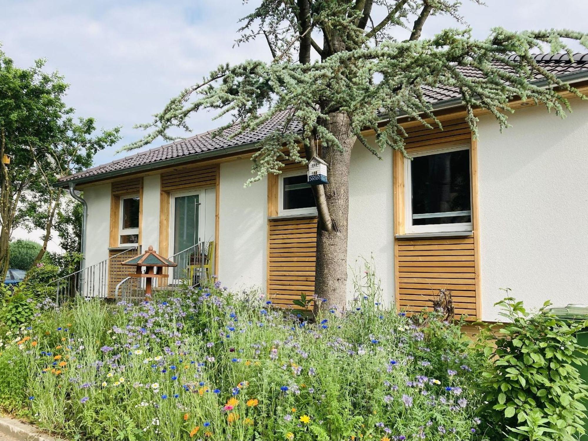 Ferienhaus Urwald Hofgeismar Extérieur photo